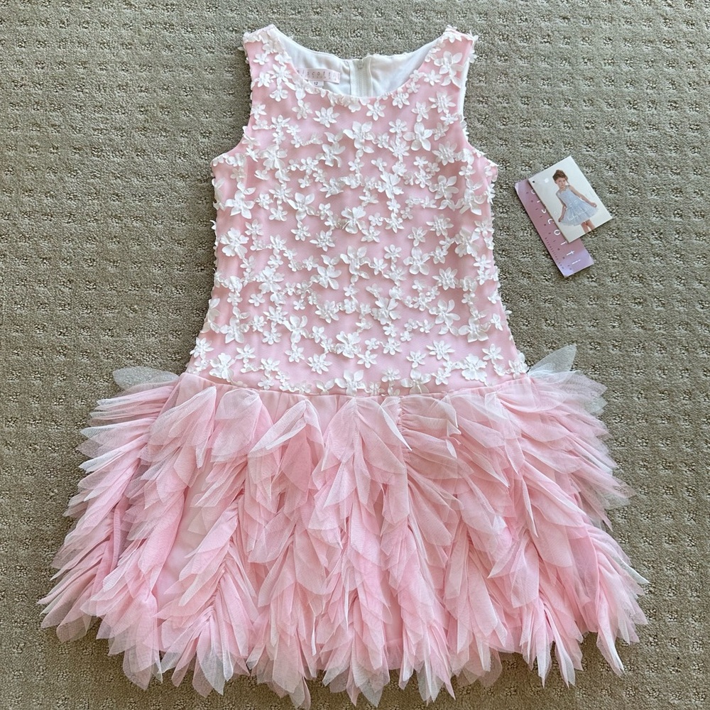 NWT Biscotti Girls’ Pink Tulle Dress With White Floral Embroidery, Size 12